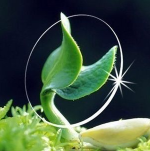 驗光師培訓學校分析抗疲勞鏡片與比漸進多焦鏡片