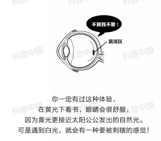 驗光師培訓(xùn)科普：護(hù)眼燈真的能保護(hù)眼睛嗎？